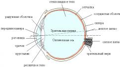 आँख की ऑप्टिकल प्रणाली आँख का अपवर्तक माध्यम और उनकी भूमिका