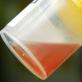 Urin boje mesnih pometa - moguće bolesti i što učiniti Koja je bolest urina boje mesnih pometa