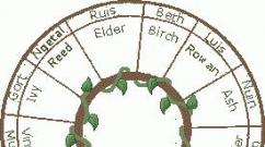 Lijeska (ariš, lješnjak) Kalendar, zemljopis i horoskop za drveće